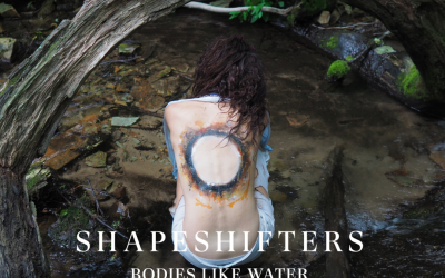 Shapeshifters Art Opening and Book Launch